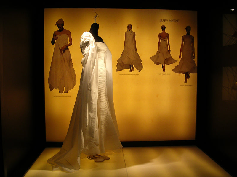 Dedicated to Issey Miyake, by Ivo Milan