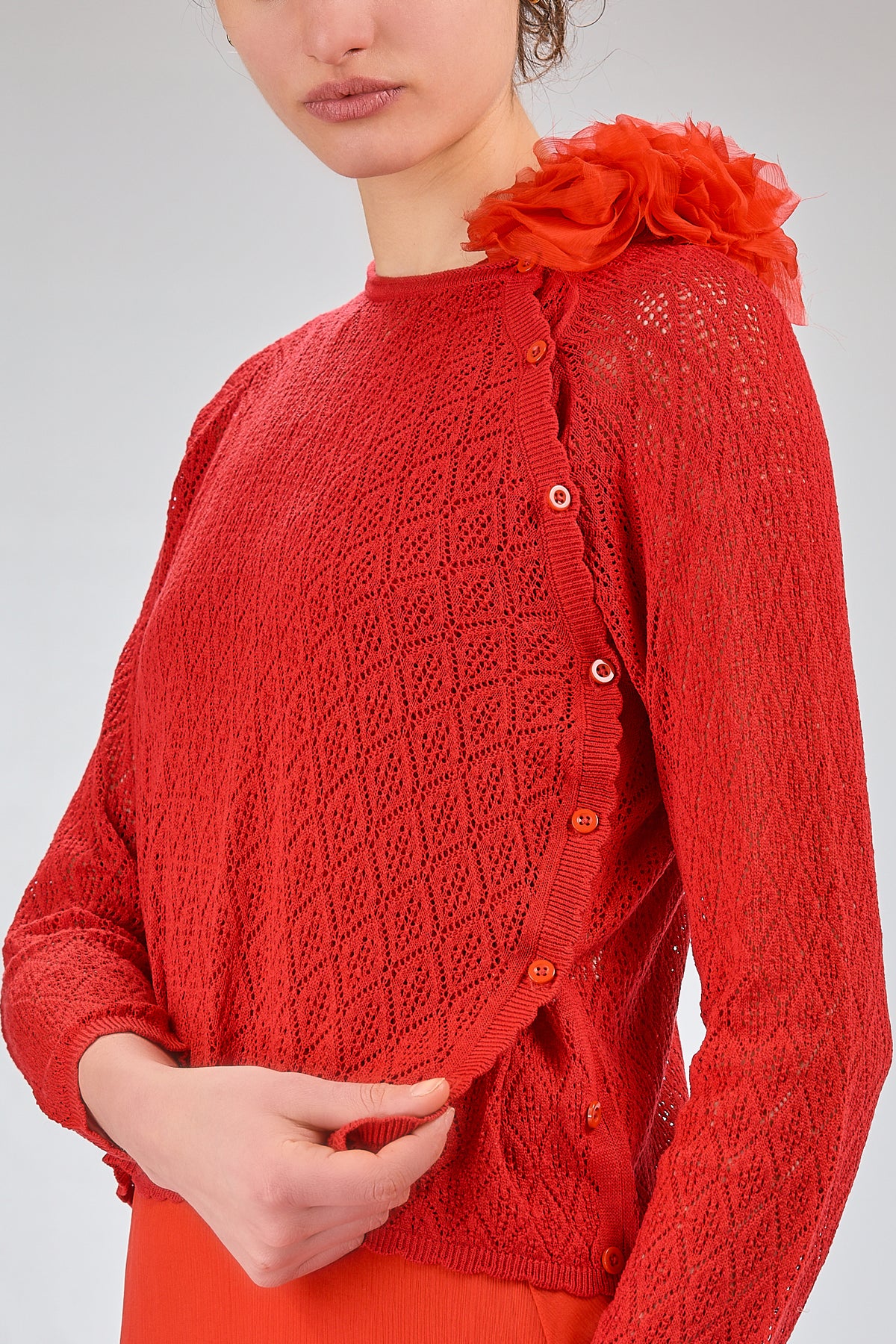 http://localhost:8180/imgBeestore/31622-1 A.jpg