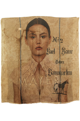  - MAYER 