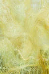 short and slim sweater in nuno felt of silk chiffon and merino wool - EMANUELA ROVIDA 